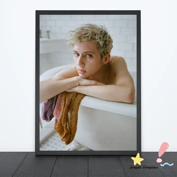 Плакат Troye Sivan Music Star, платно, художествена печат, декорация за дома, стенни живопис (без рамка)